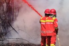 Perkuat Sinergi Bilateral dan Swasta, Kementerian Kehutanan Tingkatkan Kapasitas SDM Dalkarhutla