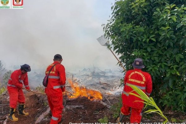 Gerak Taktis Manggala Agni Jinakkan Karhutla di Sumatera