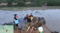 Tiga Dekade Mengabdi bagi Konservasi, Gajah Jinak ‘Indra’ Tutup Usia di TN Way Kambas