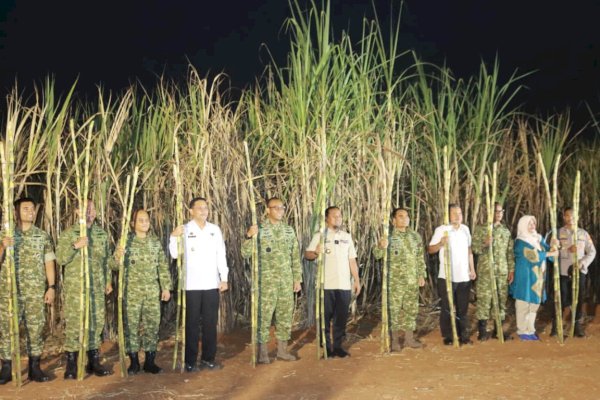 Dukung Swasembada Gula Nasional, Wabup Takalar Hadiri Panen Raya Tebu TNI Bersama Gubernur Sulsel
