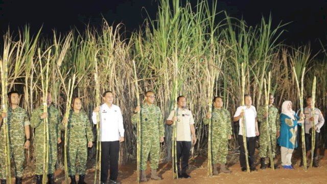 Dukung Swasembada Gula Nasional, Wabup Takalar Hadiri Panen Raya Tebu TNI Bersama Gubernur Sulsel