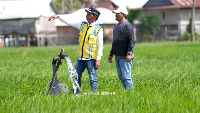 Bupati Sidrap, Syaharuddin Alrif, turun langsung menyusuri saluran irigasi Sungai Saddang dan areal persawahan masyarakat di Kecamatan Kulo.