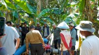 Bupati Irwan Turun Langsung Tinjau Lahan Kekeringan, Pastikan Petani Pinrang Tak Gagal Panen