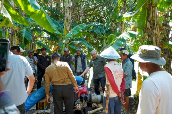 Bupati Irwan Turun Langsung Tinjau Lahan Kekeringan, Pastikan Petani Pinrang Tak Gagal Panen