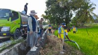 Cegah Gagal Panen, Pemkab Pinrang Siapkan Mobil Tangki untuk Sawah Terdampak Kekeringan