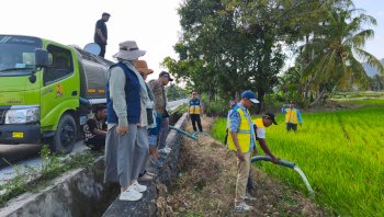 Cegah Gagal Panen, Pemkab Pinrang Siapkan Mobil Tangki untuk Sawah Terdampak Kekeringan