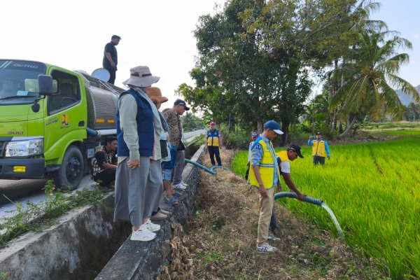 Cegah Gagal Panen, Pemkab Pinrang Siapkan Mobil Tangki untuk Sawah Terdampak Kekeringan