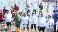 Hari Mangrove Sedunia 2026, Wabup Pangkep Ajak Masyarakat Lestarikan Ekosistem Pesisir