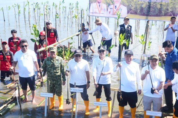 Hari Mangrove Sedunia 2026, Wabup Pangkep Ajak Masyarakat Lestarikan Ekosistem Pesisir