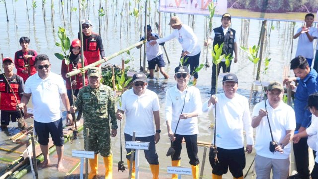 Hari Mangrove Sedunia 2026, Wabup Pangkep Ajak Masyarakat Lestarikan Ekosistem Pesisir