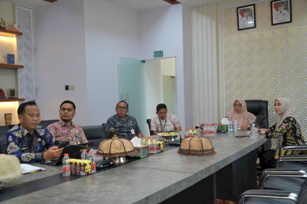 Wabup Lutim Ikuti Raker dan RDPU Komisi II DPR RI, Bahas Reformulasi Fiskal Daerah