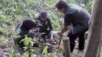 Kementerian Kehutanan Siapkan Forest Heroes Muda Menjaga Masa Depan Hutan