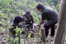 Kementerian Kehutanan Siapkan Forest Heroes Muda Menjaga Masa Depan Hutan