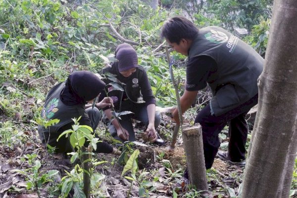 Kementerian Kehutanan Siapkan Forest Heroes Muda Menjaga Masa Depan Hutan