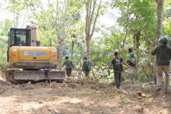 Kemenhut Tetapkan Dua Tersangka Pembukaan Jalan dengan Alat Berat di Taman Nasional Bukit Barisan Selatan