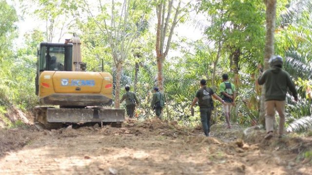 Kemenhut Tetapkan Dua Tersangka Pembukaan Jalan dengan Alat Berat di Taman Nasional Bukit Barisan Selatan