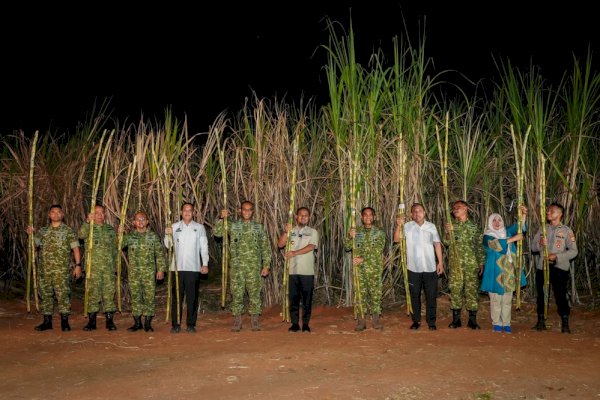 Gubernur Sulsel Hadiri Panen Raya Tebu Bersama TNI, Tegaskan Dukungan pada Program Presiden Prabowo