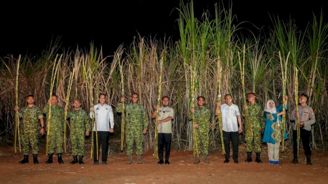 Gubernur Sulsel Hadiri Panen Raya Tebu Bersama TNI, Tegaskan Dukungan pada Program Presiden Prabowo