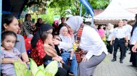 Wagub Fatmawati Rusdi Perkuat Kolaborasi Percepatan Penurunan Stunting di Parepare