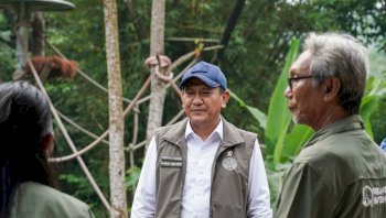 Wamenhut Tinjau PKRO SOCP dan Orangutan Haven, Empat Orangutan Sumatera Siap Dilepasliarkan ke Jambi