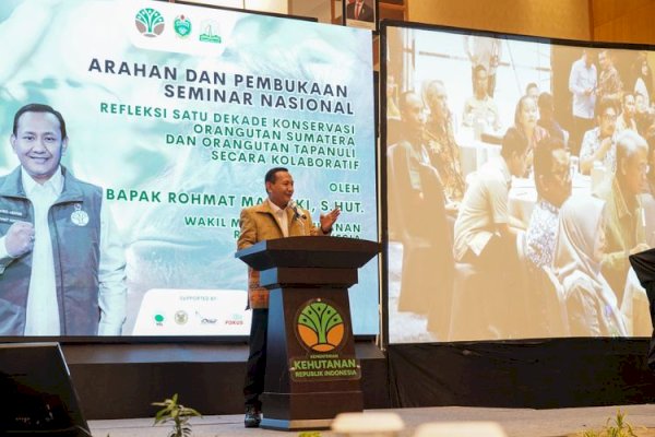 Kemenhut Ungkap Hasil Survei Terbaru, Perkuat Kolaborasi Konservasi Orangutan Sumatera dan Tapanuli