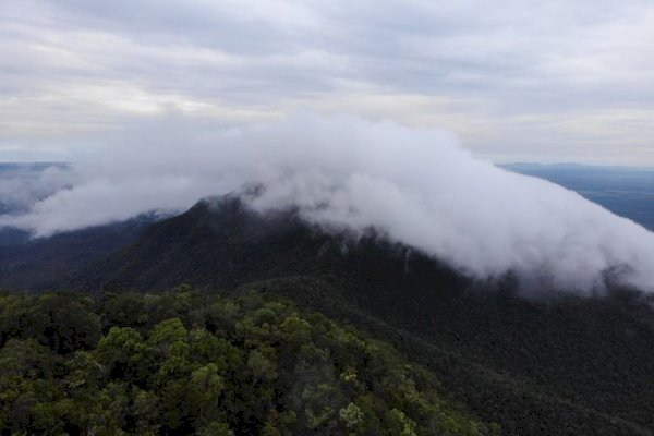Taman Nasional Gunung Maras Memasuki Satu Dekade Perjalanan Konservasi
