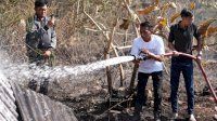 Baru Tiba dari Makassar, Bupati Sidrap Syaharuddin Alrif Langsung Turun Padamkan Api