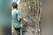 Kemenhut Perkuat Deteksi Dini dan Respons Cepat Pengendalian Karhutla di Sumatera Selatan