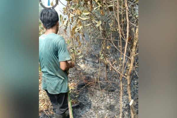 Kemenhut Perkuat Deteksi Dini dan Respons Cepat Pengendalian Karhutla di Sumatera Selatan