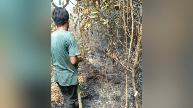 Kemenhut melakukan pencegahan dan pengendalian kebakaran hutan dan lahan (karhutla) di Sumatera Selatan.