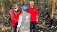 Menhut Raja Antoni Turun ke Lokasi Karhutla Kalsel, Operasi Pemadaman Diperkuat