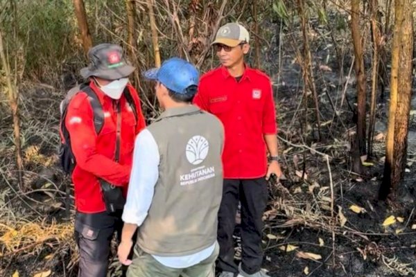 Menhut Raja Antoni Turun ke Lokasi Karhutla Kalsel, Operasi Pemadaman Diperkuat