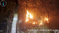 Gubernur Sulsel Andi Sudirman Ajak Masyarakat Bersama-sama Cegah Kebakaran Hutan dan Lahan