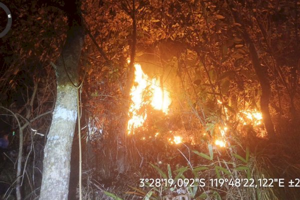 Gubernur Sulsel Andi Sudirman Ajak Masyarakat Bersama-sama Cegah Kebakaran Hutan dan Lahan
