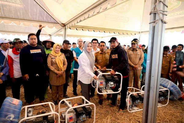 Panen Padi 10,4 Ton per Hektare, Wagub Sulsel Fatmawati Rusdi Dukung Penguatan Pertanian Modern di Sidrap