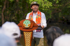 Hadapi Kemarau, Kemenhut Cek Kesiapan 4 Perusahaan Cegah Karhutla