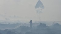 El Nino Datang Lebih Cepat, Antisipasi Penting buat Cegah Karhutla