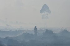 El Nino Datang Lebih Cepat, Antisipasi Penting buat Cegah Karhutla