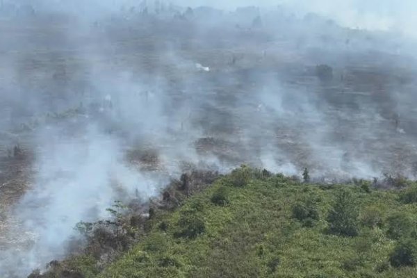 Kemenhut Perketat Pencegahan Karhutla, Perusahaan Tak Patuh Terancam Sanksi