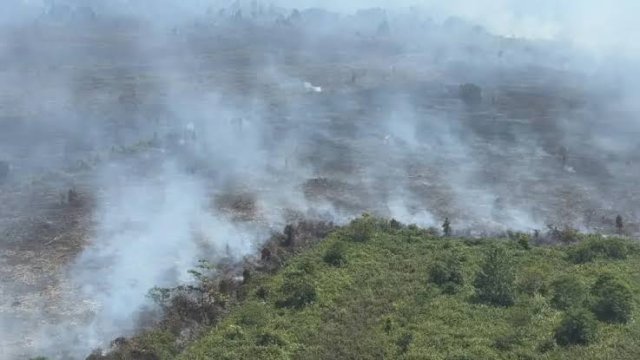 Kemenhut Perketat Pencegahan Karhutla, Perusahaan Tak Patuh Terancam Sanksi