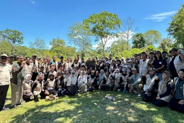 Kemenhut Ajak 60 Genries Kenali Gajah Sumatera, Bergerak untuk Konservasi