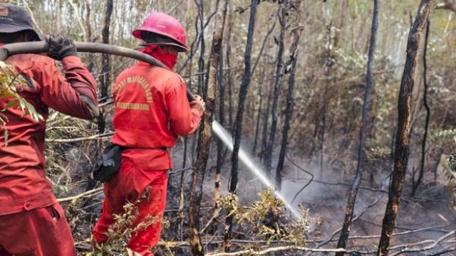 Kemenhut memperketat penanganan kebakaran hutan dan lahan (karhutla) di Provinsi Sumatera Selatan.