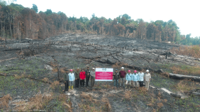 Kementerian Kehutanan menjatuhkan sanksi kepada 6 Perusahan Terkait Karhutla di Kalimantan Barat, Kalimantan Tengah, dan Kalimantan Timur.
