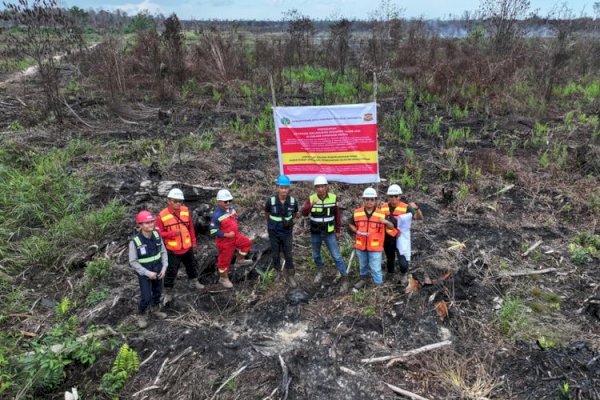 Kemenhut Bongkar Motif di Balik Karhutla, Dari Jual Beli Kawasan Hingga Perambahan, Korporasi dan Individu Jadi Tersangka