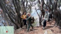 Kebakaran Gunung Gede Pangrango Masih Mengintai, Tim Sisir Dua Titik Asap di Kawah Wadon