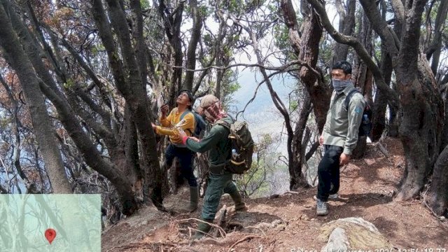 petugas Balai Besar TNGGP masih mendeteksi keberadaan kepulan asap yang keluar dari dalam tumpukan serasah di lokasi kebakaran.