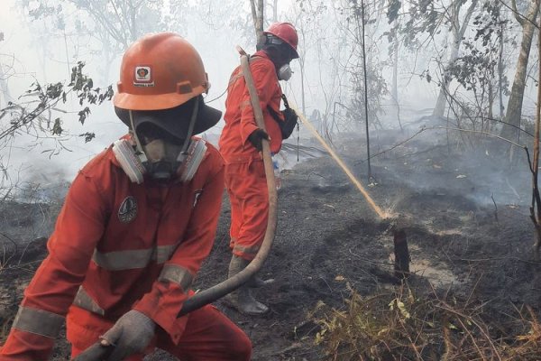 Hotspot Nasional Turun 56 Persen, Pengendalian Karhutla Tetap Diperkuat