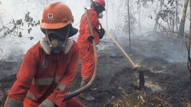 Hotspot Nasional Turun 56 Persen, Pengendalian Karhutla Tetap Diperkuat