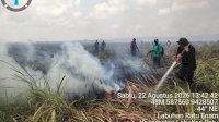 Kebakaran Hutan Terjadi di Wilayah Resort Kuala Penet, TN Way Kambas Bersama Para Pihak Lakukan Pemadaman