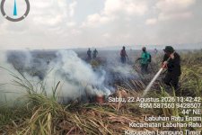 Kebakaran Hutan Terjadi di Wilayah Resort Kuala Penet, TN Way Kambas Bersama Para Pihak Lakukan Pemadaman